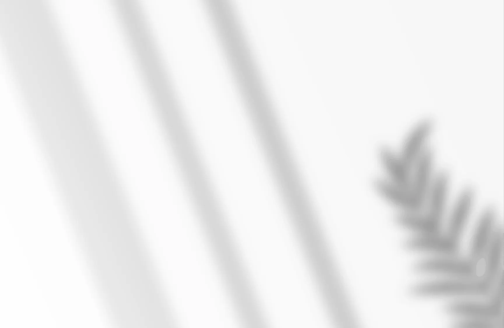 bg pic 4