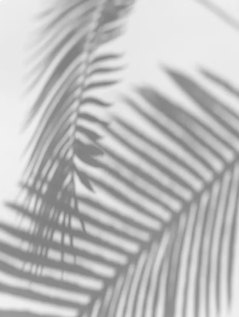 bg pic 5